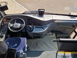 TEMSA 8 units Prestij SX,Novo Lux, Daily, Atego