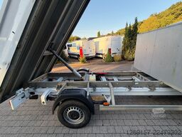 MERCEDES-BENZ Sprinter 316 CDI Kipper 3,5t RWD L3 Werkzeugbox