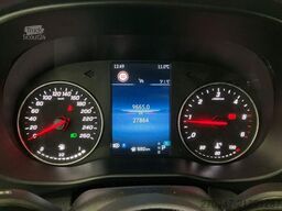 MERCEDES-BENZ Vito 116 CDI RWD PRO lang AHK TEMPOMAT KAMERA