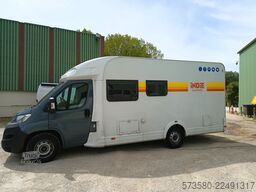 2024 Ford Transit Weinsberg Carasuite | Automatik | 5 Schlafplätze