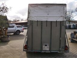  Baos Vollpoly 2 Pferde mit SK