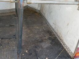  Baos Vollpoly 2 Pferde mit SK