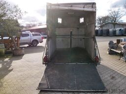  Baos Vollpoly 2 Pferde mit SK