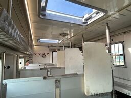 Iveco Eurocargo Occasion paardevrachtwagen voor 5 paa...