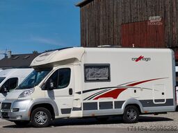 CARTHAGO Chic C-Line T 3.8