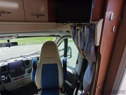 CARTHAGO Chic C-Line T 3.8