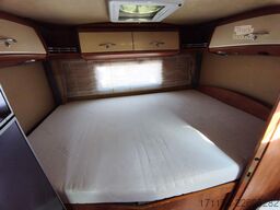 CARTHAGO Chic C-Line T 3.8