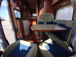 CARTHAGO Chic C-Line T 3.8