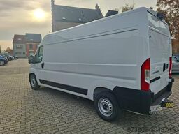 FIAT Ducato Maxi