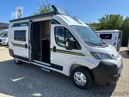 CHAUSSON V594 Max First Line Light `26