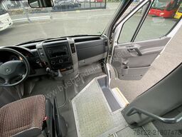 Mercedes-Benz Transfer 55