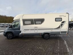 GIOTTILINE Therry T37