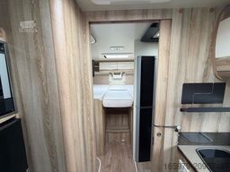 GIOTTILINE Therry T37