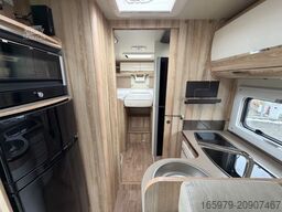 GIOTTILINE Therry T37