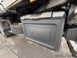 SCHMITZ CARGOBULL SCBS3B04**Carrier*Pharma*Blumen*Doppelstock*Lift