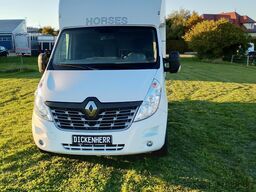 Renault Master Pferdetransporter Nuyts