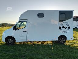 Renault Master Pferdetransporter Nuyts
