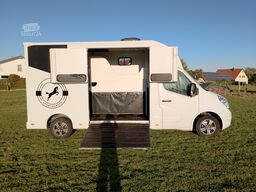 Renault Master Pferdetransporter Nuyts