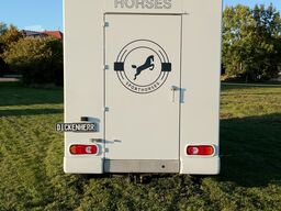 Renault Master Pferdetransporter Nuyts