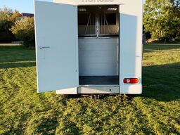 Renault Master Pferdetransporter Nuyts