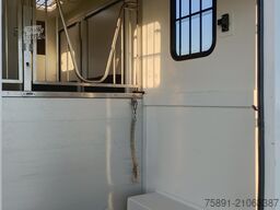 Renault Master Pferdetransporter Nuyts