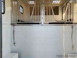 Renault Master Pferdetransporter Nuyts