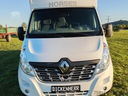 Renault Master Pferdetransporter Nuyts