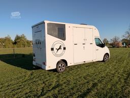 Renault Master Pferdetransporter Nuyts