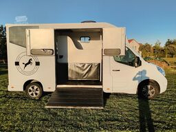 Renault Master Pferdetransporter Nuyts