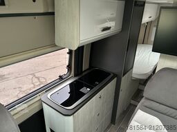 ROLLER TEAM Livingston Duo Sport