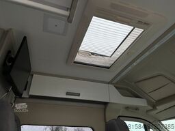 ROLLER TEAM Livingston Duo Sport