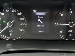 ROLLER TEAM Livingston Duo Sport