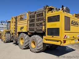 Ropa TIGER V8-3 beet harvester / 6000 MTH