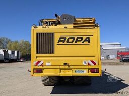 Ropa TIGER V8-3 beet harvester / 6000 MTH