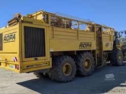 Ropa TIGER V8-3 beet harvester / 6000 MTH
