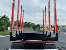 PAVIC THTA 19 44Z/NEU/1.ACHSE ALS LIFTACHSE