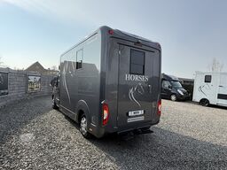 Renault Master PAARDENWAGEN | HORSETRUCK | STX | STALLI...