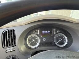 DAF LF 230