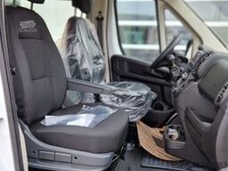 FIAT Fiat Ducato 9 Sitzer Systemboden Rolli Stock