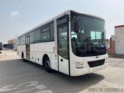 MAN Lion's Intercity