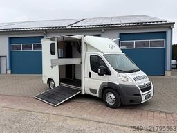 Citroën Jumper 2 Seitenrampen Pferdetransporter