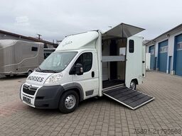 Citroën Jumper 2 Seitenrampen Pferdetransporter
