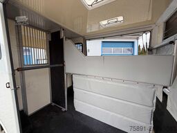 Citroën Jumper 2 Seitenrampen Pferdetransporter