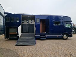 MAN TGM Roelofsen 5 paards paardenvrachtwagen met l...