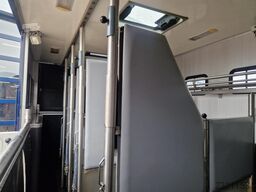MAN TGM Roelofsen 5 paards paardenvrachtwagen met l...