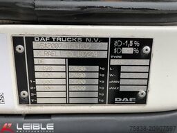 DAF LF210FA*Junge*Dhollandia-LBW*Klima*