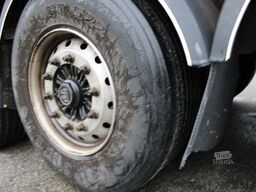 FLIEGL SDS 3 Ladunssicherungsplanen,Edscha,Lochleiste