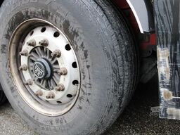 FLIEGL SDS 3 Ladunssicherungsplanen,Edscha,Lochleiste