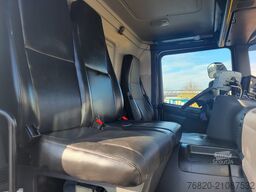 SCANIA P320