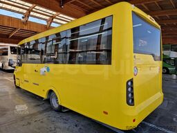 Iveco Indcar Wing
